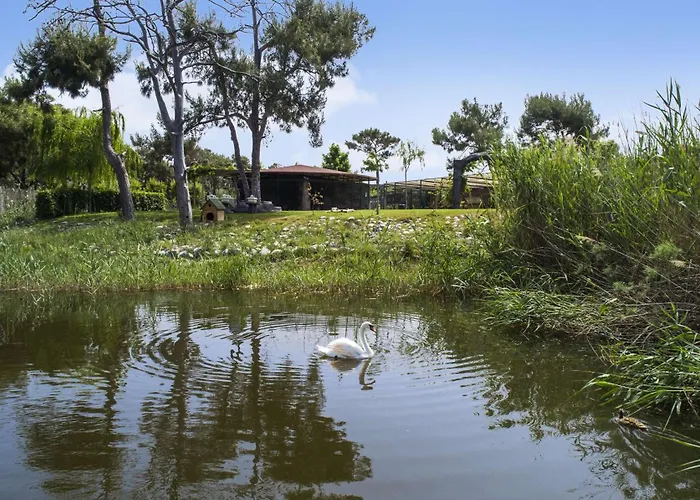 Hilton Sarigerme & 5*