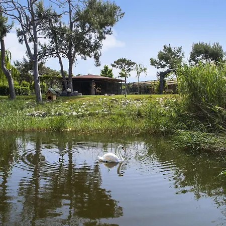 ヒルトン サリジェルメ ＆ スパ 5*